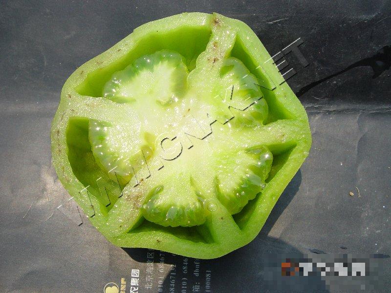 番茄空洞果